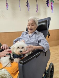 ドックセラピー