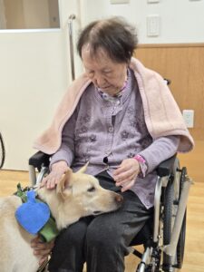 ドックセラピー