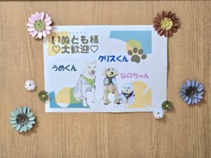 ドックセラピー