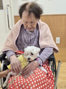 ドックセラピー