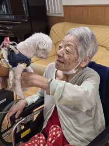 ドックセラピー