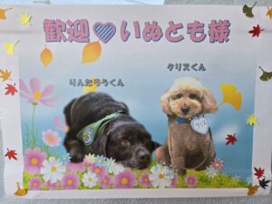 ドックセラピー