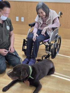 ドックセラピー