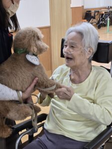 ドックセラピー