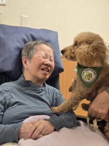 ドックセラピー