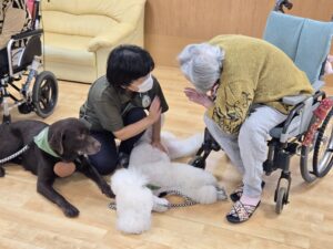 ドックセラピー