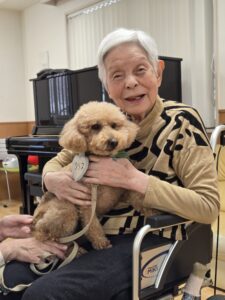 ドックセラピー