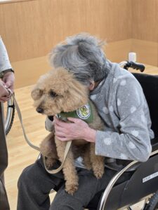 ドックセラピー