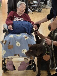 ドックセラピー