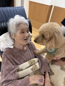 ドックセラピー