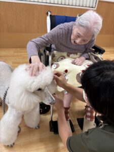 ドックセラピー