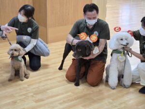 ドックセラピー