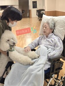 ドックセラピー