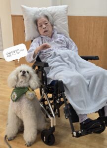 ドックセラピー