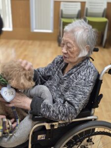 ドックセラピー