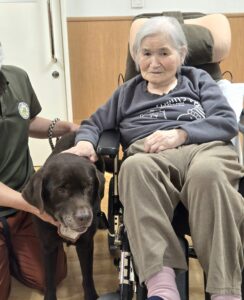 ドックセラピー