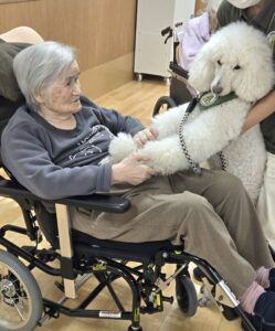 ドックセラピー