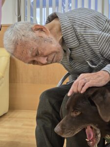 ドックセラピー