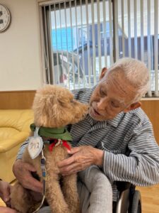 ドックセラピー