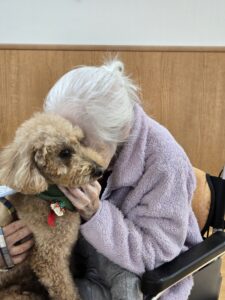 ドックセラピー