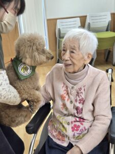 ドックセラピー