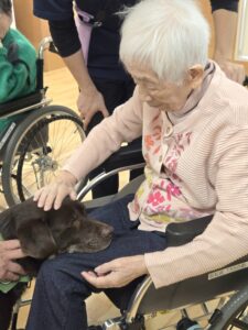 ドックセラピー