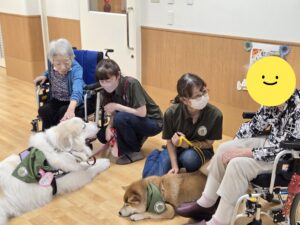 ドックセラピー