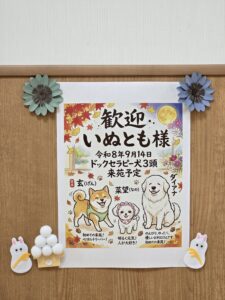 ドックセラピー